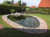 teich.JPG