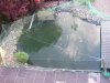 DSCF1384.jpg