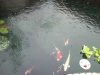 Neuteich 037.JPG