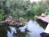 DSCF3658.JPG