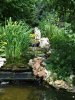 DSCF7268.JPG