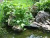 DSCF7287.JPG