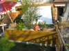 Bild 274.jpg