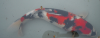 Showa 2.png