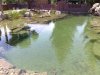05062009373.jpg