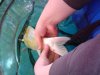 DSC00233.JPG