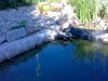 07062009042.jpg