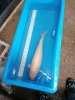 IMG_20201120_125819.jpg