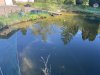 899C5B21-FBC1-46C0-AB3D-10D432ED53B6.jpeg