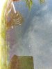 20210524_090652.jpg