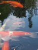 20210601_172411.jpg