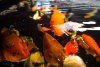 IMG_20190120_002800_043.jpg