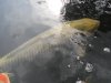 SDC10372.JPG