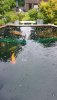 20210623_130942.jpg