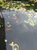 20210701_083359.jpg