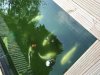 A7CF4E96-A3F8-4CC1-A524-8FEEBBDED497.jpeg