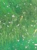20210714_140943.jpg