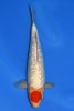 dsc_8228-scaled.jpg