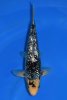dsc_8170-scaled.jpg