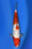 dsc_8214-scaled.jpg