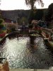 IMG_20180823_102054.jpg