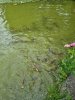 20210808_141940.jpg