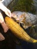 20160509_174110.jpg