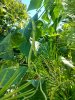 20210821_103527.jpg