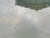 20210827_152754.jpg