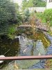IMG_20210830_190641.jpg
