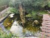 IMG_20210830_190658.jpg