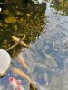 IMG_20210830_190819.jpg