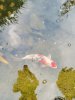 IMG_20210830_190808.jpg