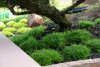 DSC01881-min.jpg