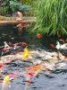 20210921_171311.jpg