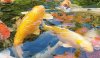20210806_175249.jpg