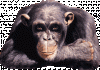 1634582752759.gif