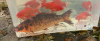 1635142840864.png
