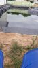 FB_IMG_1635402979636.jpg