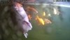 Screenshot_20211028-191315_Video Player.jpg