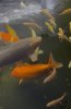1636018933734.png