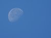 DSC03325mond2-min.jpg