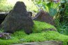 DSC03386-min.jpg