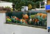 DSC03208-min.jpg
