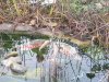 20211117_082528.jpg