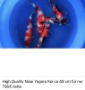 F5AFDDFD-426B-49F1-8231-23E693AD88A9.jpeg