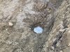 IMG_0562.jpeg
