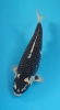 1640008138916.png
