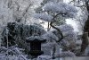 DSC04970-min.jpg