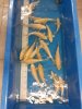 20220104_093241.jpg